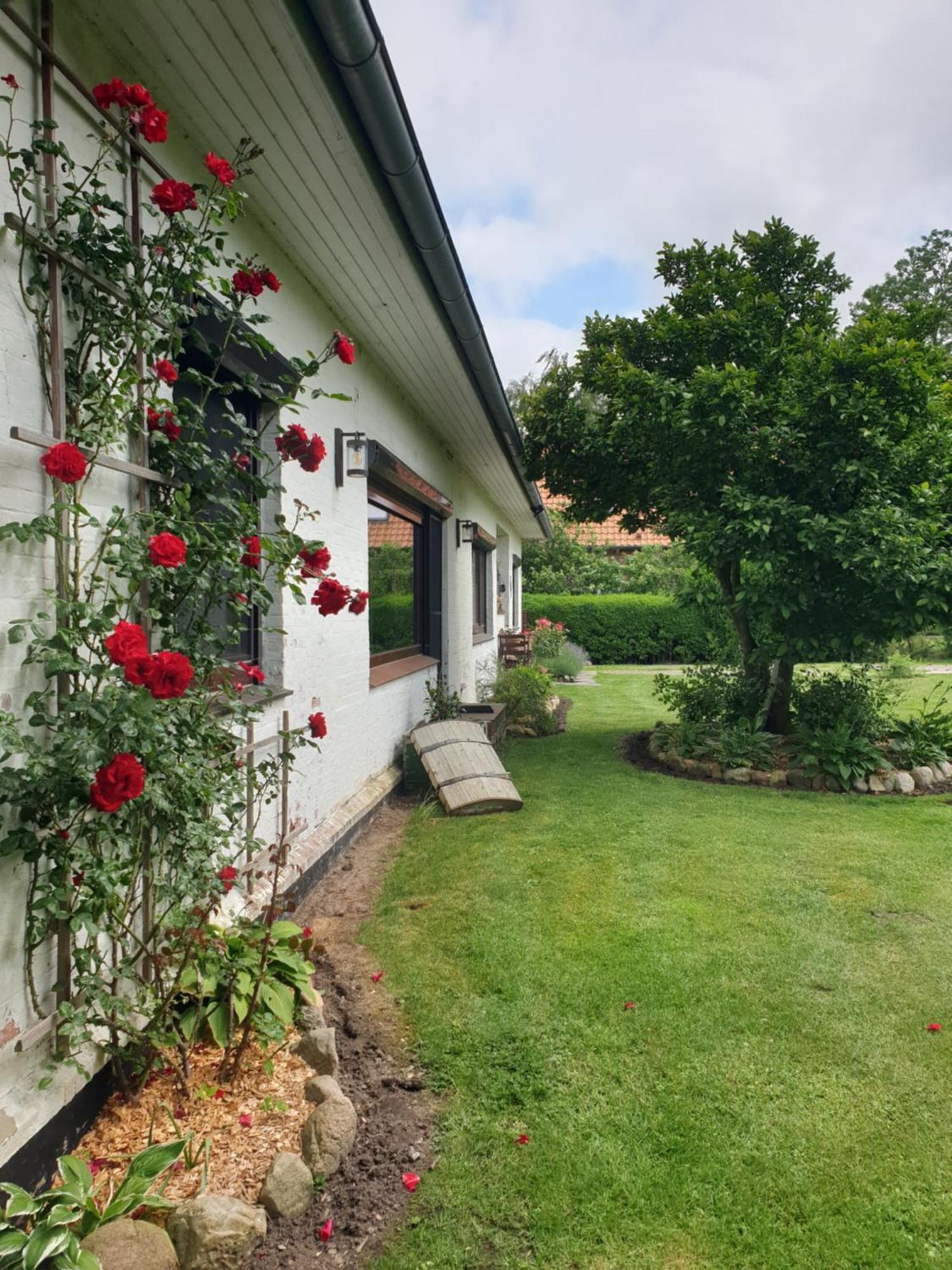 Osteblick Apartamento Oberndorf  Exterior foto